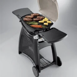 Grille De Cuisson Fonte émaillée Q300/Q3000 - Weber -Gril De Cuisine grille de cuisson pour q300 barbecue a gaz weber 0077924038853 3